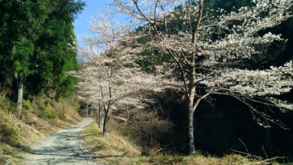 画像39